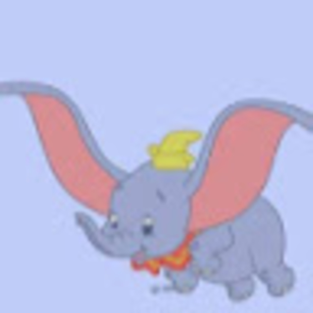 Meet your Posher, Anna viktoria